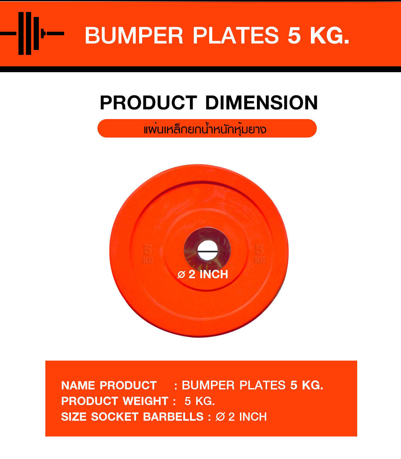แผ่นเหล็กยกน้ำหนัก หุ้มยาง BUMPER PLATES - 5KG (MB12127-5KG)