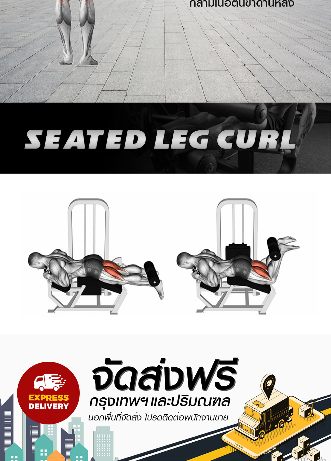 SEATED LEG CURL